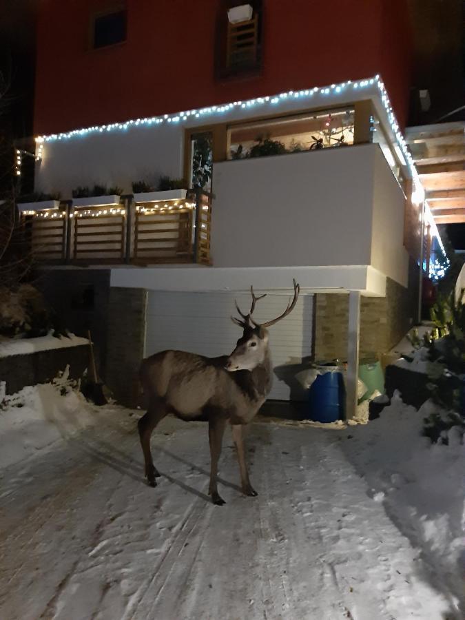 Vila Anna Vysoke Tatry Bagian luar foto